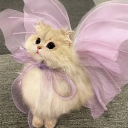 avatar ⊹mauω ~♪