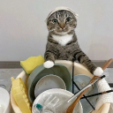 avatar ⊹mauω ~♪