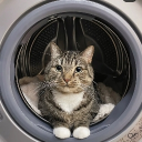 avatar ⊹mauω ~♪