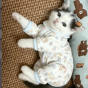 avatar ⊹mauω ~♪