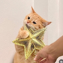 avatar ⊹mauω ~♪