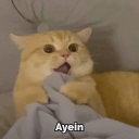 avatar ⊹mauω ~♪