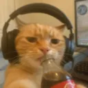 ali0842
