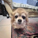 avatar Matthieujdrumm