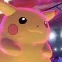 chonkychu2336