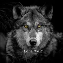 lonewolf1164