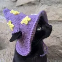 wise_kitten_63101