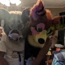 akariyuichaika