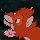 avatar Jamiroquais cousin