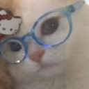 avatar CynDa