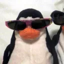pengu_mastah