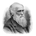 darwin_darwin123