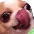 ultrabepis