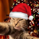 avatar arisoppo 🎄