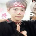 mitsuhacat