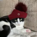 jeka.k