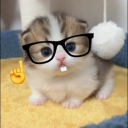 avatar a