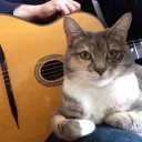 cavemusic