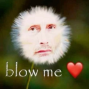 avatar 𝙺𝚒𝚝𝚔𝚊𝚝hi