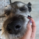 avatar 𝙺𝚒𝚝𝚔𝚊𝚝hi