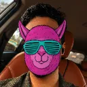 n_llama