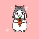 lolorob11 avatar