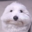 glonek.wav