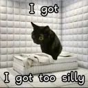 kiten1238 avatar