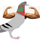 szymerowskijuzek