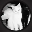 lunamiie