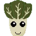 bchoy