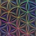 hamburger1994