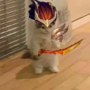 zeezoo999