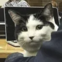 carl.me