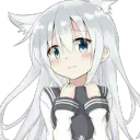 loli.i