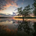 sylelcordova8230 avatar