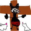negruscoo