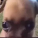 elespantaviejas123_ avatar