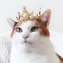 luckycatkira