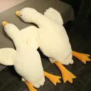 ankan_av
