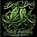 bignz420