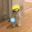 avatar Noctis