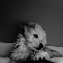 avatar 𝓚𝔂𝓵𝓲𝓮