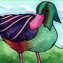 duckofduckness