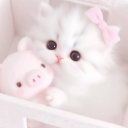 avatar >_<