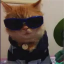 tobix4348 avatar