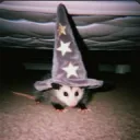 mrdamvammatky avatar