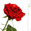 hopeful_mccarthy1233994 member profile picture