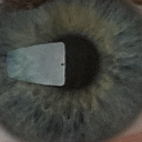 avatar ObserverMC 《オブサーバー》