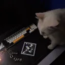 arzk1